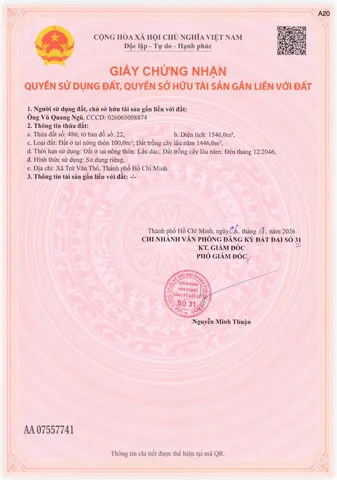 Đất xào hồ chí minh sẵn cây ăn trái bưởi 8 năm