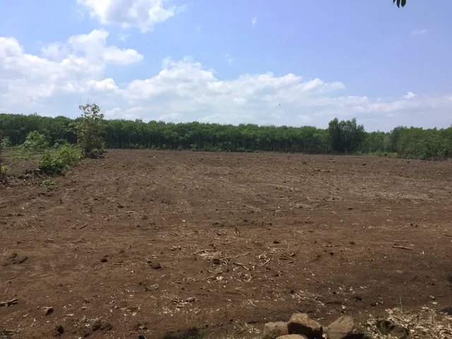 Đất bán phía sau ủy ban  xã Đức Hạnh, DT 12000m2, Chính chủ, giá 1.8 tỷ.