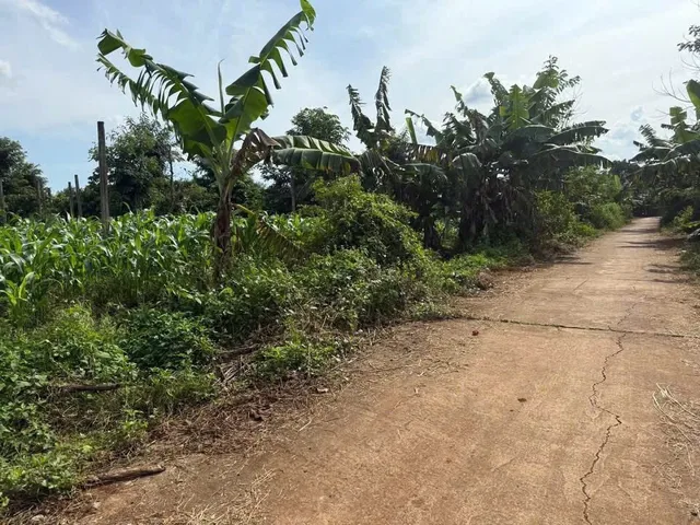 🔥Chủ ngộp cần bán 10m Dray Sap cũ ( kla )
📌Vị trí cách đường liên xã 500m ! Cách đường Qh cao tốc 165m!
📐Diện tích 10x37m tc 60 ( bìa sẵn )
🚘Đường bê tông thông thoáng! Ô tô vào tận đất