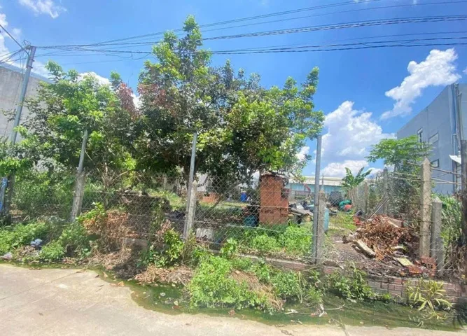 Cân ra 1 lô F0 dinh hoa 6,1x14,5 Tcu 60m đường bê tông 4m nhanh dx71