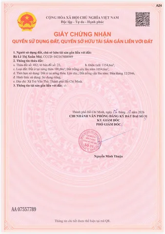 Đất xào hồ chí minh sẵn bườn bưởi trên đất 7 năm tuổi