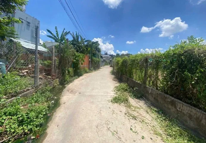 Cân ra 1 lô F0 dinh hoa 6,1x14,5 Tcu 60m đường bê tông 4m nhanh dx71