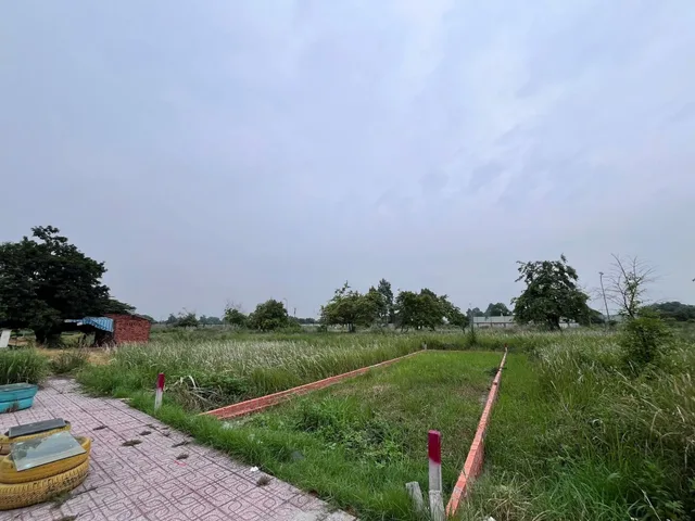 Đất mặt tiền đường Trung Lập - xã Thái Mỹ Củ Chi