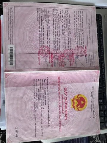 Đất vườn trồng full mít đã cho thu hoạch