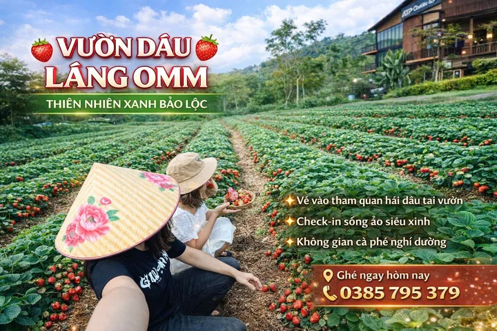 GẤP!! đất nghỉ dưỡng bảo liền kề đồi chè tâm châu