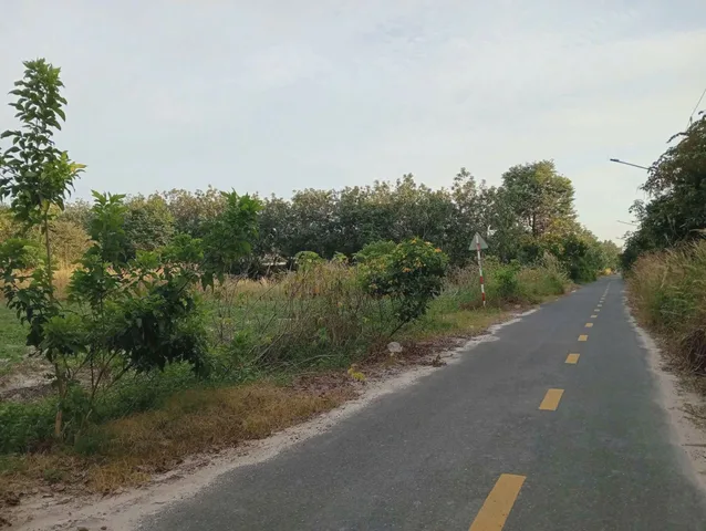 Cần Ra Đi Gấp Đất 225m2, Thổ Cư 100m, Giá Chỉ Hơn 500 Triệu Bao Sổ, Nằm ở Long Hòa, Dầu Tiếng, Bình Dương