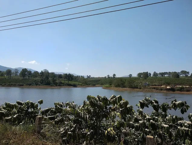 Cực Phẩm với lô đất hơn 14.000m2 sẵn 4300m2 Gung Ré- Di Linh 
2 mặt Đường chỉ với 47 tỷ view sông 
Xã Di Linh, Lâm Đồng (Mới) Xã Gung Ré, Huyện Di Linh, Lâm Đồng