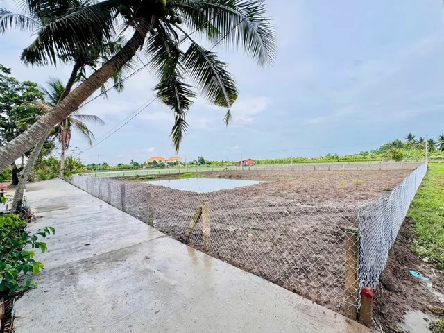 Bán đất thổ cư + lúa 1586m2 trong đó có 291m2 thổ cư kế bên động lực 827e tại Long An