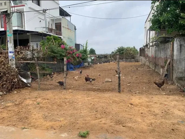 BÁN ĐẤT ĐIỆN NAM BẮC 📌📌📌LÀM VIỆC TRỰC TIẾP GIÁ TỐT !!!