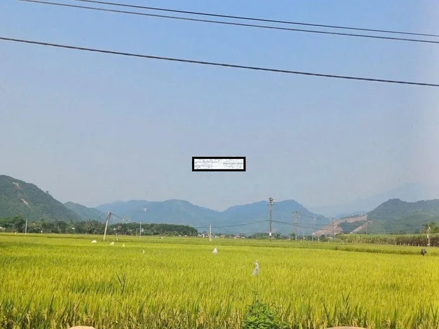 BÁN ĐẤT VIEW CÁNH ĐỒNG HÒA BẮC 📌📌📌LÀM VIỆC TRỰC TIẾP GIÁ TỐT !!!