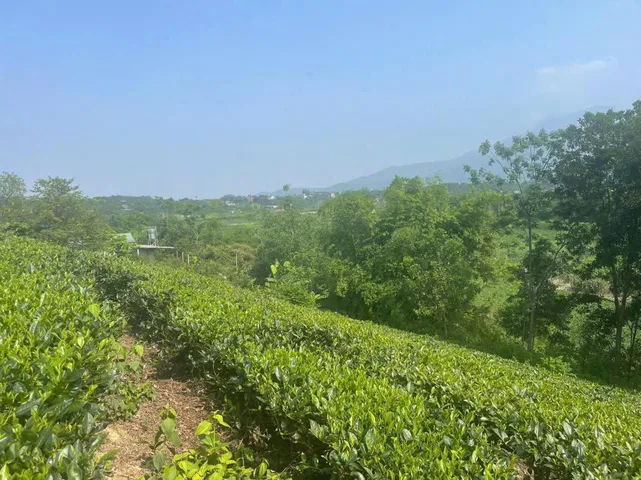 SIÊU PHẨM NGHỈ DƯỠNG BÁM HỒ, VIEW HỒ CẨM QUỲ
