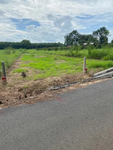 Sau trận mexico - Nam Phi cần Vốn ra nhanh 2 lô liên Kề 525tr có 200m2 thổ gần ngay chợ Thái Bình Minh Thạnh Dầu Tiếng