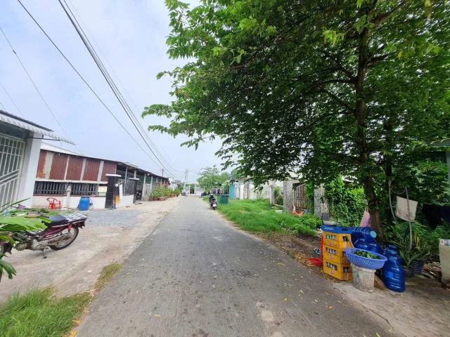 (S341) Đất mặt tiền Trần Thị Ngon, xã Thái Mỹ, dt 138m2, đất ở hiện hữu, giá 1 tỷ 750