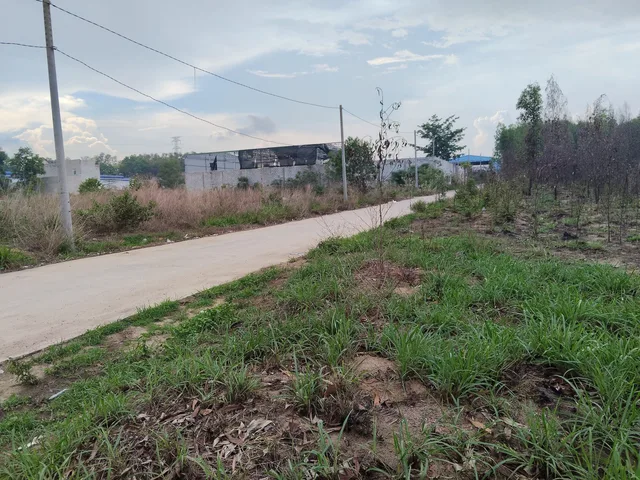 BÁN QUỸ ĐẤT LỚN, 2 MẶT TIỀN ĐƯỜNG QUỐC LỘ 51 AN PHƯỚC LONG THÀNH TP. ĐỒNG NAI. 🌿 DIỆN TÍCH 9951M², 220M2 THỔ, GIÁ 160TỶ