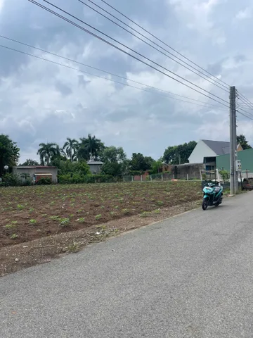 Bán lô đất sào ở Bình Dương cũ diện tích 500m2 tiện cho anh chị em kinh doanh giá 700tr quay đầu