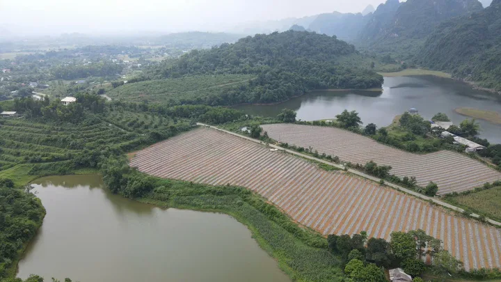 🔥[ĐẤT NGHỈ DƯỠNG] CHỈ HƠN 3 TRIỆU/M² – SỞ HỮU ĐẤT BÁM  2 HỒ, VIEW NÚI, MẶT TIỀN QUYỀN LỰC 10M TẠI CAO DƯƠNG – LƯƠNG SƠN CÁCH HÀ NỘI CHỈ 3km.