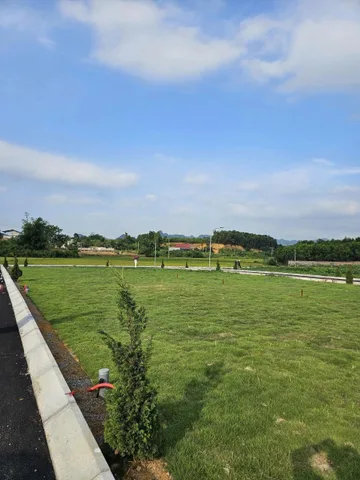 🚨  LÔ ĐẤT FULL THỔ CƯ CHỈ 298tr- 52,9m - mt 5m NGAY TRUNG TÂM BA HÀNG ĐỒI