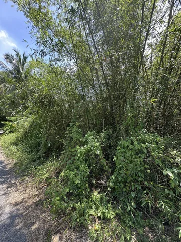 BÁN ĐẤT QH KHO BÃI, XÃ TÂN KIÊN BÌNH CHÁNH