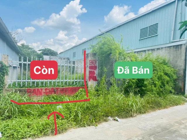 BÁN ĐẤT ĐẦU TƯ, XÂY NHÀ TRỌ, XÂY Ở