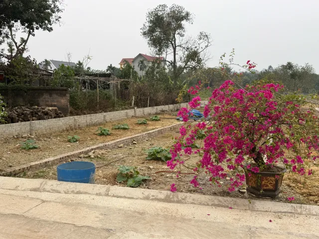 82.5m full thổ cư - Xuân Linh, xã Xuân Mai, HN - chỉ chưa đến 2 tỷ -