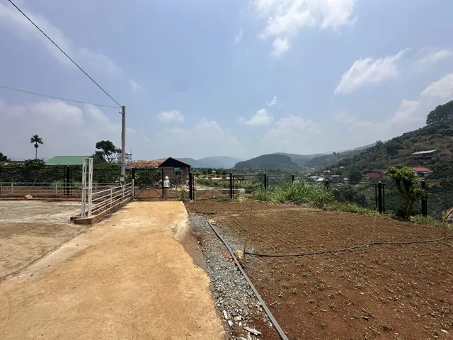 ⛰️ ĐẤT NỀN MÊ LINH (LÂM HÀ) – VIEW SUỐI & RỪNG THÔNG ĐẮC ĐỊA