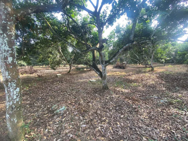 Bán đất 2339.7m² ngang 25m giá 7.5 tỷ tại Xã Bình An Huyện Long Thành