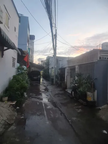 BDS  HVL [NC] Chính chủ gửi bán miếng đất hẻm xe hơi đường 4,trường thọ. Đất cây lâu năm ngang 11m. Tổng Dt là 232m. Giá bán gấp 8 tỉ bớt lộc cho kh mua nhanh.