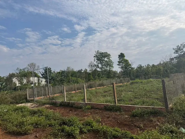CUOR ĐĂNG - 15*40 ONT NỞ HẬU 25