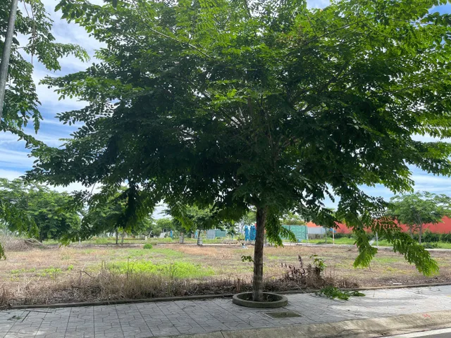 Bán Đất 90m2 tại H. Đức Hòa, T. Long An Huyện Đức Hòa Long An