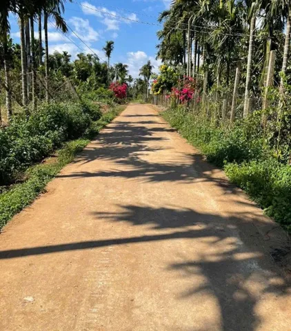 Đất gần cụm công nghiệp Phú Xuân chỉ 65tr/m ngang