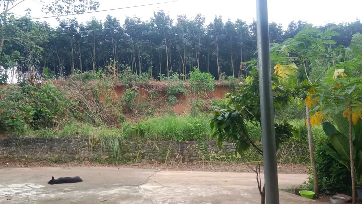 BÁN ĐẤT THỔ CƯ TÂN THÀNH, ĐỒNG XOÀI, BÌNH PHƯỚC