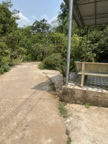 Chính chủ cần bán gấp 1 sào 2 đất mặt tiền bê tông cách nhựa 100m