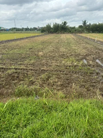 Bán Đất Củ Chi Mặt Tiền Nhựa Trung Lập Hạ, 20m x 71m Vuông Vắn, Giá Chỉ 5 Tỷ.