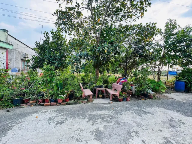Đất thổ cư mặt tiền nhựa gần khu đô thị Vinhomes Sài Gòn Park xã Tân Thông Hội Củ Chi TPHCM, DT: 5x23m.