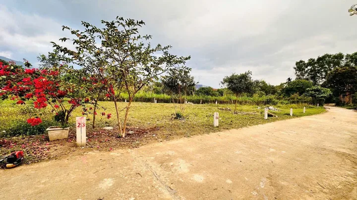 Chỉ 330tr có ngay lô đất ở 92m2 Diên Lâm - Diên Khánh, khu dân cư hiện hữu