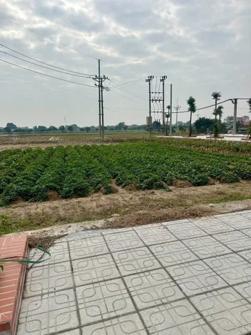 Bán đất đấu giá Cống Đầm cực đẹp, Đại Xuyên Phú Xuyên