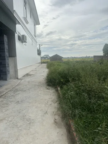 🏡 BÁN ĐẤT ĐẸP TỔ DÂN PHỐ YÊN NHO – VỊ TRÍ TIỀM NĂNG, GẦN KCN
