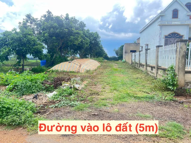 [Đất ngộp] Bán gấp đất thổ cư tại Lộc An, Bảo Lâm, Lâm Đồng, 550 triệu, 112.3m²