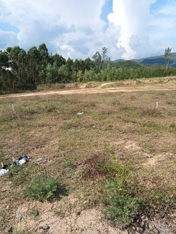 Xóm 5, Thôn Tiên Thuận, Xã Bình Khê, tỉnh Gia Lai.