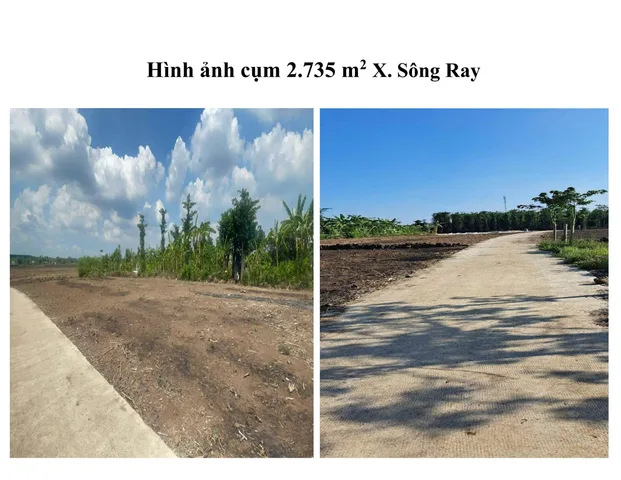 4. Cụm 2.735 m2 X. Sông Ray 
Vị trí đất: Link
 THÔNG TIN LÔ ĐẤT 
• Hướng: Tây
• Khu dân cư: Hiện hữu, đông đúc.