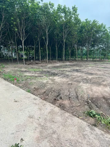 Sổ sẵn cần bán lô đất 400m2 có 100m2 ở TPHCM mới giá chỉ 600tr bao sổ bao công chứng