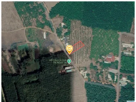 185 triệu sở hữu ngay 300m2 đất có gần 100m2 ODT  Phường Đồng Phú ,TP Đồng Nai