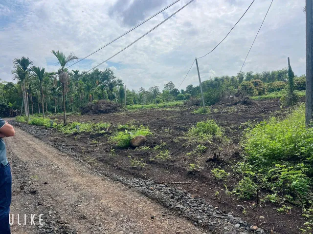 🔥 HÀNG ĐẸP HẺM CẤP 1 ĐƯỜNG TRÁNH EA TIÊU 🔥
📐 Diện tích tổng: 5m x 35m
🏡 Thổ cư: Full thổ cư