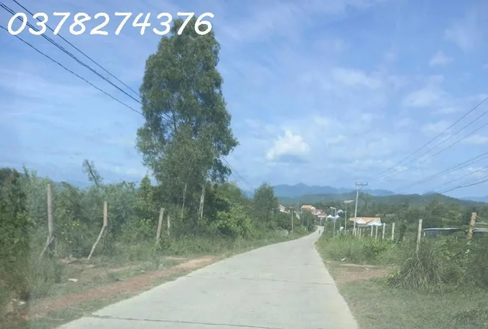 Chính chủ cần bán đất nông nghiệp tại xã Tân Định, Khánh Hòa, DT 15.000m2, giá đầu tư