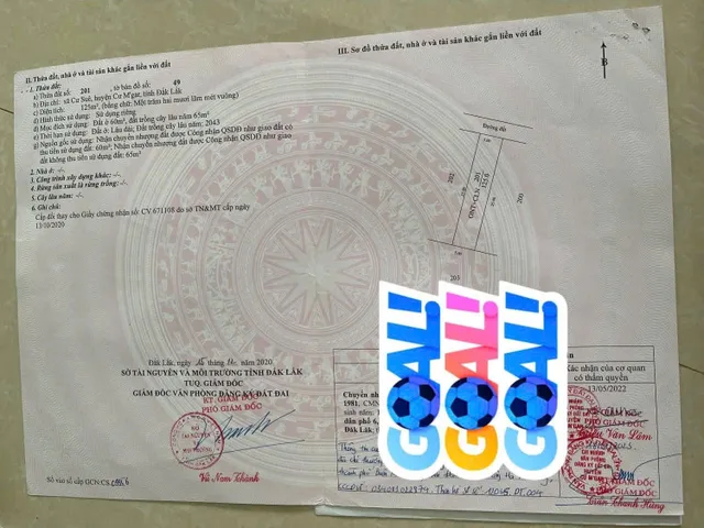 ☘️ Cư Sưe cách Trường Học Lê Thị Hồng Gấm, 800m  HẠ LỖ 470- 290
