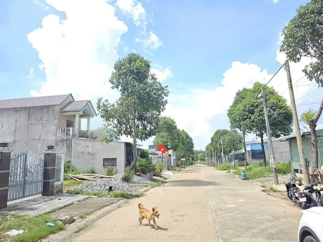 Bán đất đường dl13 mỹ phước 3 vị trí sát chợ