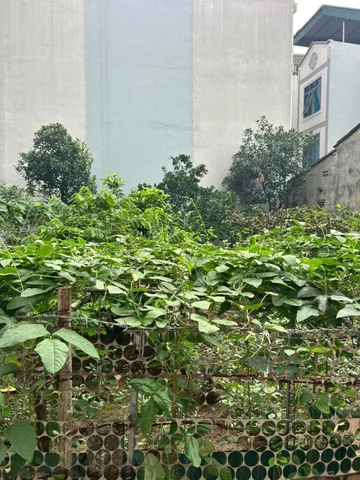 ĐẤT KHU LÕI PHÚC ĐỒNG - NGÕ CỰC NÔNG THOÁNG SÁNG 40M² - GIÁ ĐẦU TƯ - CHỐT NHANH!