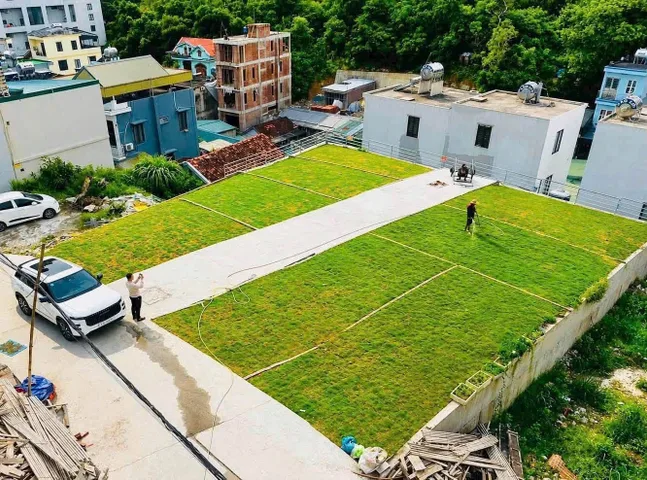 Duy nhất, bán lô đất ngõ 20 Nguyễn Văn Cừ Hạ Long, đối diện chung cư Đông Bắc, giá chỉ hơn 1 tỷ