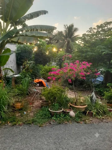 VL1-113 | 📐 316,6m² | 🧭 Đông | 💰 14 triệu/m²
