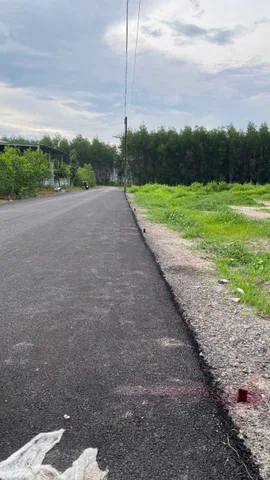 🏡 BÁN GẤP ĐẤT MẶT TIỀN ĐƯỜNG NHỰA – GIÁ CHỈ 400 TRIỆU